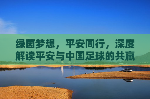 绿茵梦想,平安同行,深度解读平安与中国足球的共赢之路