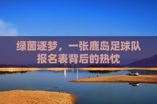 绿茵逐梦，一张鹿岛足球队报名表背后的热忱