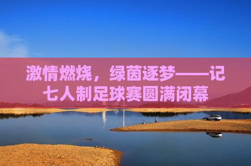 激情燃烧,绿茵逐梦——记七人制足球赛圆满闭幕