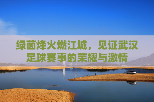 绿茵烽火燃江城,见证武汉足球赛事的荣耀与激情