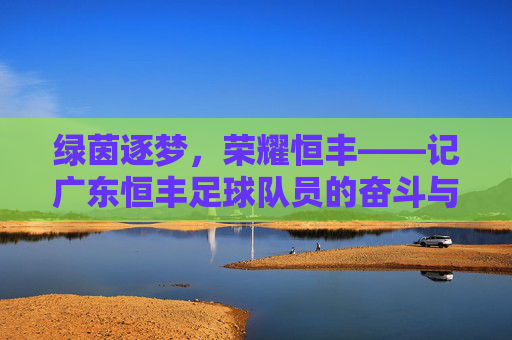 绿茵逐梦,荣耀恒丰——记广东恒丰足球队员的奋斗与风采