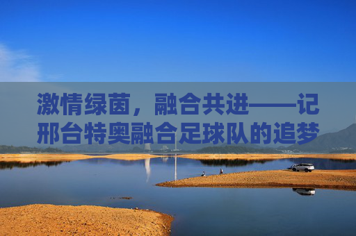激情绿茵,融合共进——记邢台特奥融合足球队的追梦之路