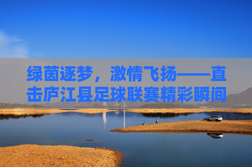绿茵逐梦，激情飞扬——直击庐江县足球联赛精彩瞬间