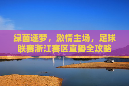 绿茵逐梦,激情主场,足球联赛浙江赛区直播全攻略