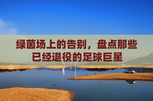 绿茵场上的告别，盘点那些已经退役的足球巨星