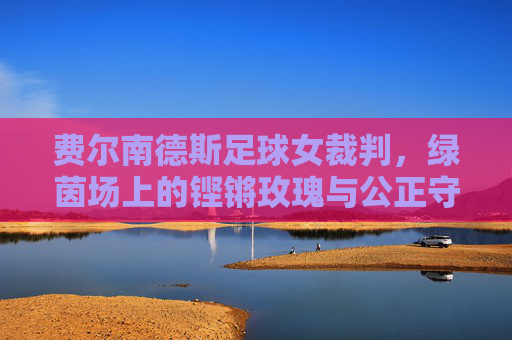 费尔南德斯足球女裁判,绿茵场上的铿锵玫瑰与公正守护者