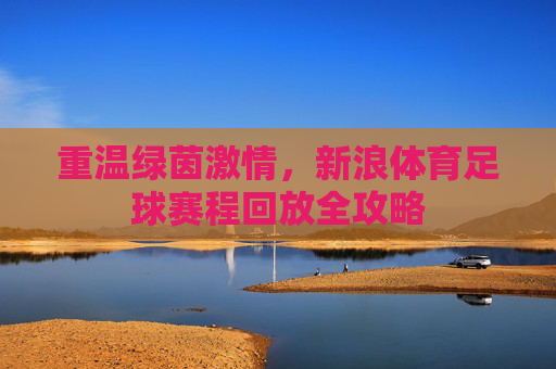 重温绿茵激情,新浪体育足球赛程回放全攻略