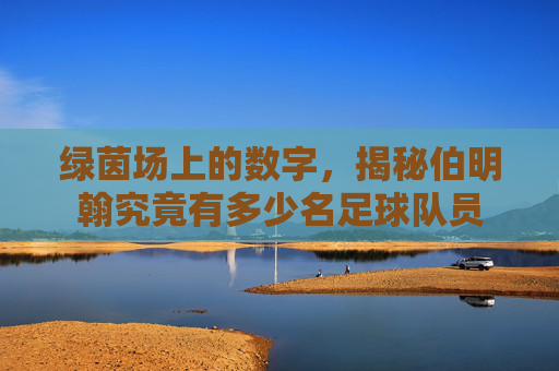 绿茵场上的数字,揭秘伯明翰究竟有多少名足球队员