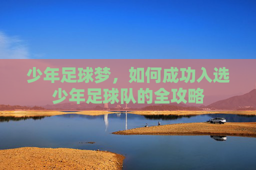 少年足球梦，如何成功入选少年足球队的全攻略