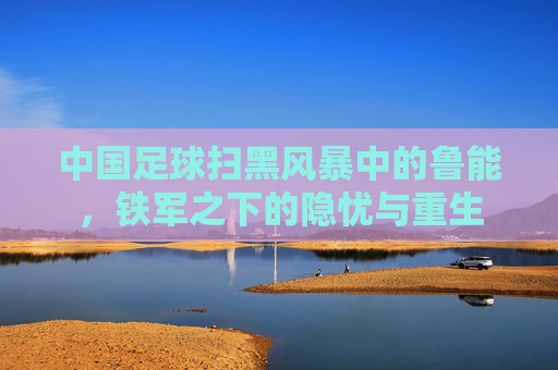 中国足球扫黑风暴中的鲁能,铁军之下的隐忧与重生