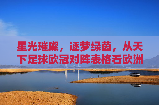 星光璀璨,逐梦绿茵,从天下足球欧冠对阵表格看欧洲之巅的博弈