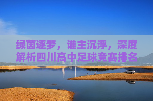 绿茵逐梦,谁主沉浮,深度解析四川高中足球竞赛排名背后的实力较量