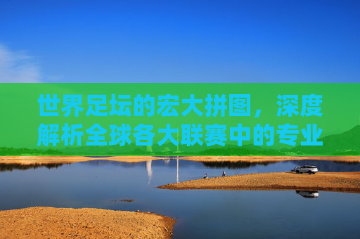 世界足坛的宏大拼图,深度解析全球各大联赛中的专业足球队