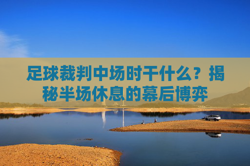 足球裁判中场时干什么？揭秘半场休息的幕后博弈