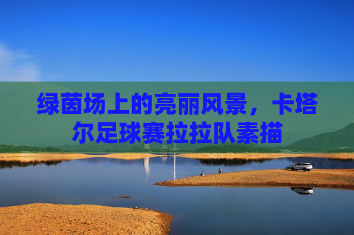 绿茵场上的亮丽风景,卡塔尔足球赛拉拉队素描