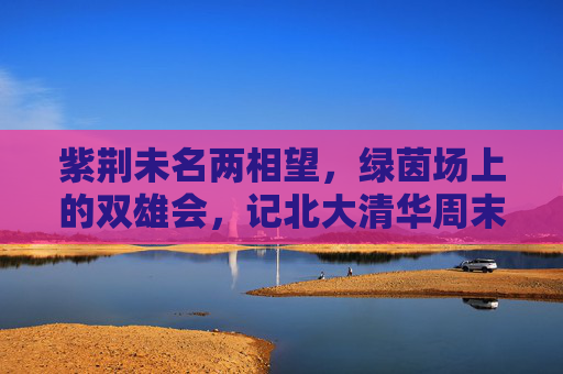 紫荆未名两相望,绿茵场上的双雄会,记北大清华周末足球队