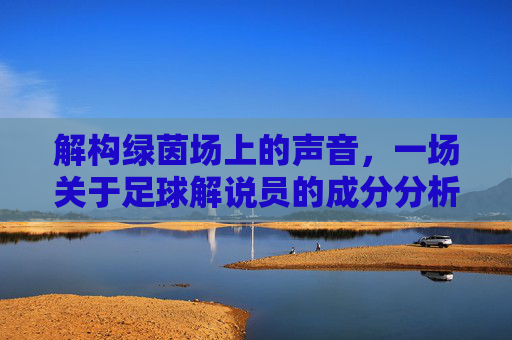 解构绿茵场上的声音,一场关于足球解说员的成分分析