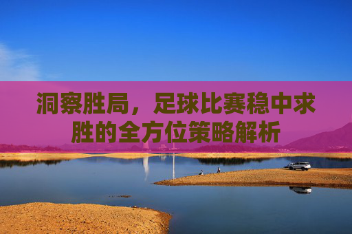 洞察胜局,足球比赛稳中求胜的全方位策略解析