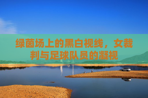 绿茵场上的黑白视线，女裁判与足球队员的凝视