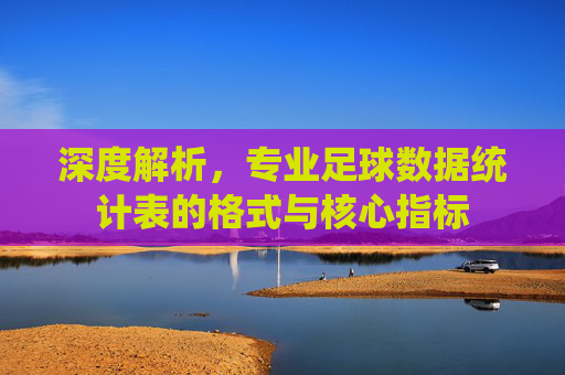 深度解析,专业足球数据统计表的格式与核心指标