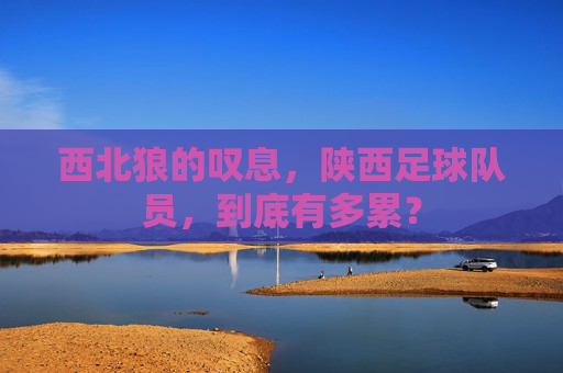 西北狼的叹息，陕西足球队员，到底有多累？