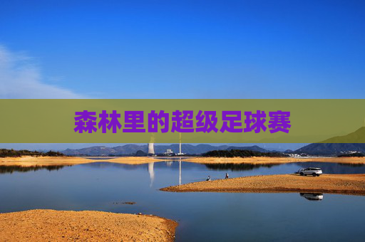森林里的超级足球赛