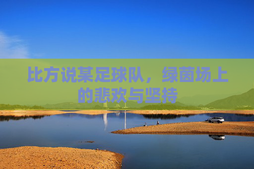 比方说某足球队,绿茵场上的悲欢与坚持