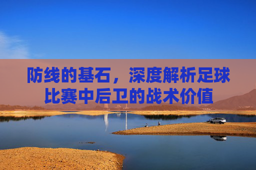 防线的基石,深度解析足球比赛中后卫的战术价值