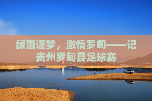 绿茵逐梦,激情罗甸——记贵州罗甸县足球赛