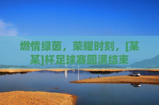 燃情绿茵，荣耀时刻，[某某]杯足球赛圆满结束