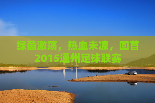 绿茵激荡,热血未凉,回首2015通州足球联赛