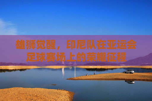 雄狮觉醒,印尼队在亚运会足球赛场上的荣耀征程