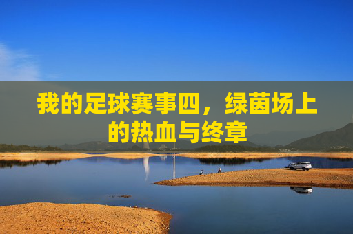 我的足球赛事四,绿茵场上的热血与终章