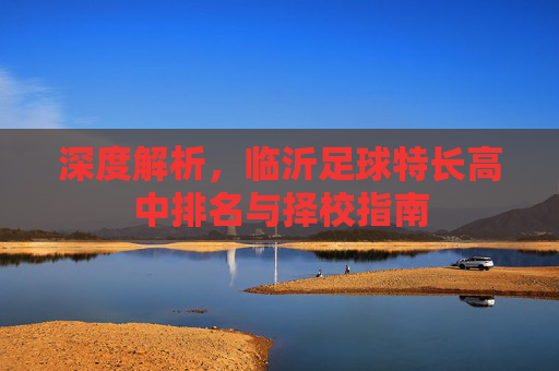 深度解析,临沂足球特长高中排名与择校指南