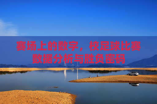 赛场上的数字,校足球比赛数据分析与胜负密码