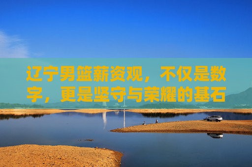辽宁男篮薪资观，不仅是数字，更是坚守与荣耀的基石
