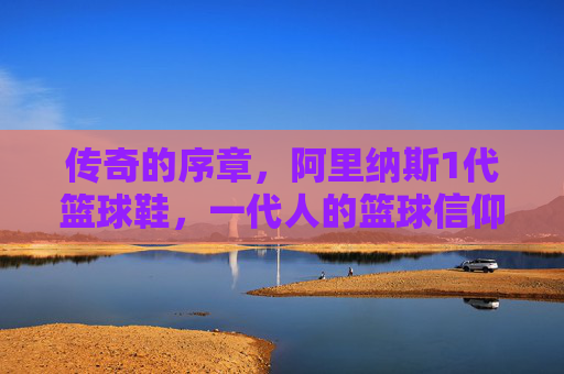 传奇的序章，阿里纳斯1代篮球鞋，一代人的篮球信仰