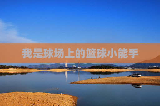 我是球场上的篮球小能手