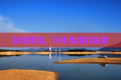 球场孤影,汗水浇灌的执着