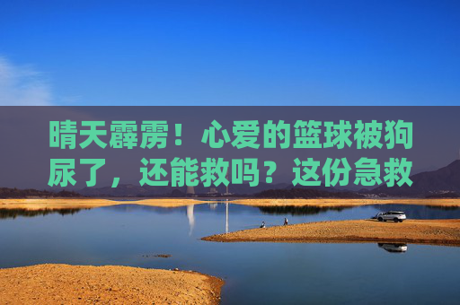 晴天霹雳！心爱的篮球被狗尿了，还能救吗？这份急救指南请收好！