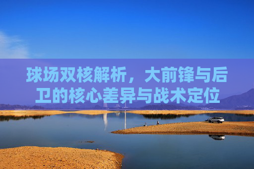 球场双核解析,大前锋与后卫的核心差异与战术定位
