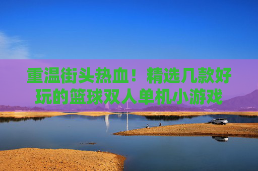 重温街头热血！精选几款好玩的篮球双人单机小游戏