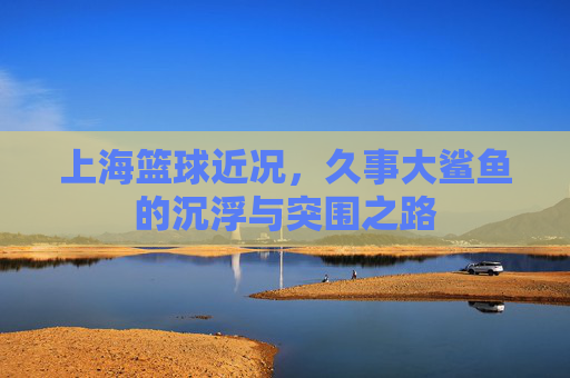 上海篮球近况，久事大鲨鱼的沉浮与突围之路
