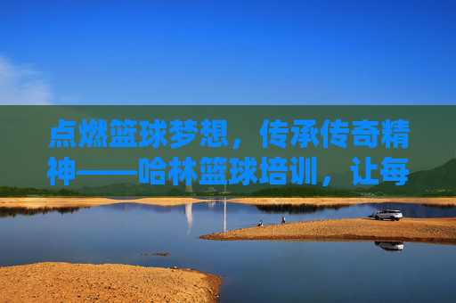 点燃篮球梦想,传承传奇精神——哈林篮球培训,让每一次运球都充满激情