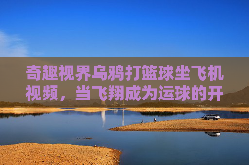 奇趣视界乌鸦打篮球坐飞机视频,当飞翔成为运球的开始