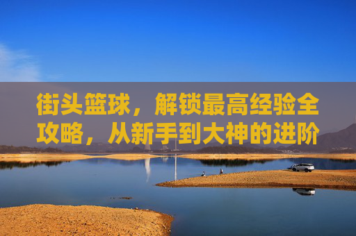 街头篮球,解锁最高经验全攻略,从新手到大神的进阶之路