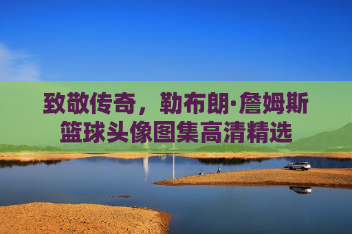 致敬传奇,勒布朗·詹姆斯篮球头像图集高清精选