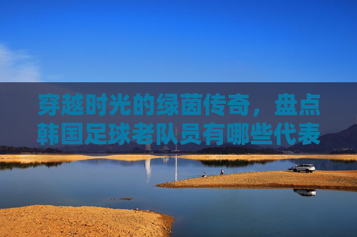 穿越时光的绿茵传奇,盘点韩国足球老队员有哪些代表性人物