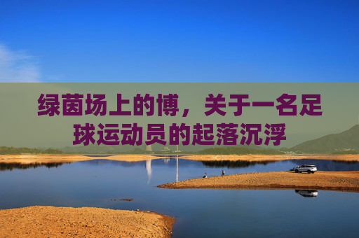 绿茵场上的博,关于一名足球运动员的起落沉浮