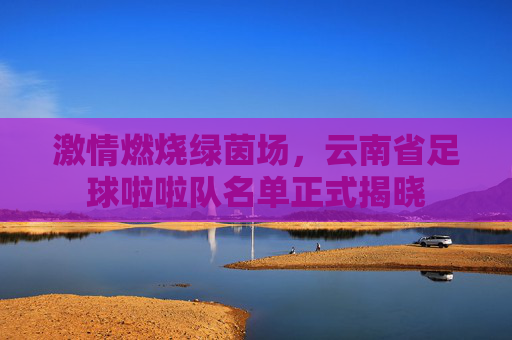 激情燃烧绿茵场,云南省足球啦啦队名单正式揭晓